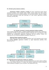 Sisteminis požiūris. Sistemos. Sisteminiai principai 13 puslapis