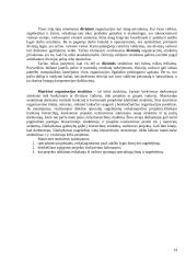 Sisteminis požiūris. Sistemos. Sisteminiai principai 14 puslapis