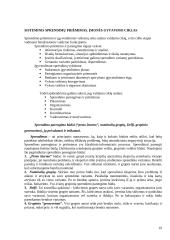 Sisteminis požiūris. Sistemos. Sisteminiai principai 19 puslapis