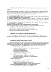 Sisteminis požiūris. Sistemos. Sisteminiai principai 20 puslapis