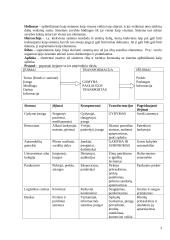 Sisteminis požiūris. Sistemos. Sisteminiai principai 3 puslapis