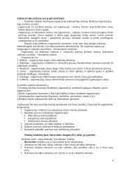 Sisteminis požiūris. Sistemos. Sisteminiai principai 4 puslapis