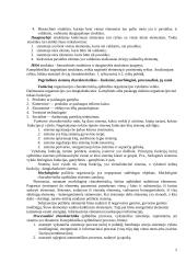 Sisteminis požiūris. Sistemos. Sisteminiai principai 5 puslapis