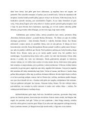 Jaunojo žmogaus pasaulis Icchoko Mero romane "Lygiosios trunka akimirką" kalbėjimas ir planas 2 puslapis