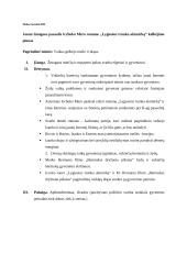 Jaunojo žmogaus pasaulis Icchoko Mero romane "Lygiosios trunka akimirką" kalbėjimas ir planas 3 puslapis