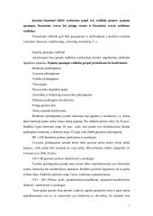 Verslo veiksnių ekonominiai-statistiniai matai 2 puslapis