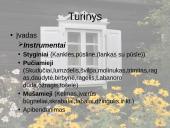 Autentiški lietuvių liaudies instrumentai (skaidrės) 2 puslapis