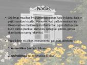 Autentiški lietuvių liaudies instrumentai (skaidrės) 3 puslapis