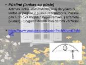 Autentiški lietuvių liaudies instrumentai (skaidrės) 5 puslapis