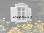 Autentiški lietuvių liaudies instrumentai (skaidrės) 10 puslapis