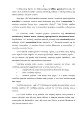 Vertybiniai popieriai (VP) 6 puslapis