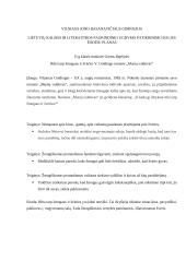 Riba tarp žmogaus ir žvėries V. Goldingo romane „Musių valdovas“ (kalbėjimas ir planas) 3 puslapis