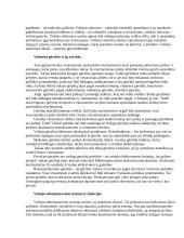 Viešojo administravimo teorija egzaminui 6 puslapis