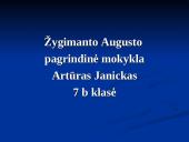 Vestuvių papročiai (skaidrės) 2 puslapis