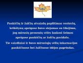 Vestuvių papročiai (skaidrės) 4 puslapis