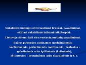 Vestuvių papročiai (skaidrės) 9 puslapis