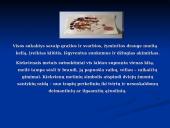 Vestuvių papročiai (skaidrės) 10 puslapis