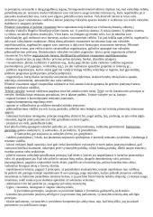 Viešasis administravimas plačiai 2 puslapis