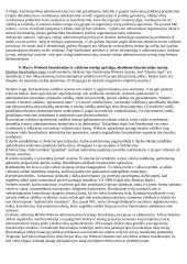 Viešasis administravimas plačiai 19 puslapis