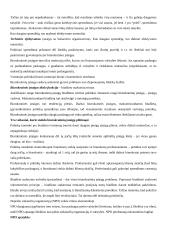 Viešojo sektoriaus ekonomika 10 puslapis