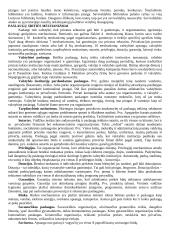 Viešųjų paslaugų vadyba 8 puslapis