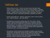 Velnio pristatymas 2 puslapis