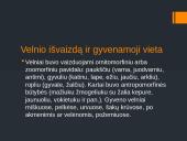Velnio pristatymas 3 puslapis