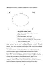 Viljamas Edvardas Demingas, jo biografija bei veikla 5 puslapis