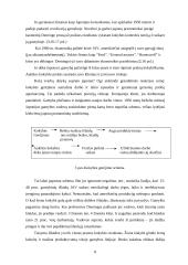 Viljamas Edvardas Demingas, jo biografija bei veikla 6 puslapis