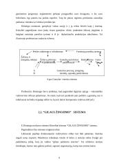 Viljamas Edvardas Demingas, jo biografija bei veikla 7 puslapis