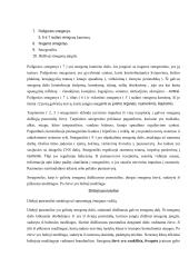 Neurobiologijos konspektas 2 puslapis