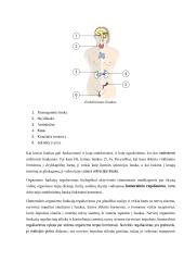 Neurobiologijos konspektas 6 puslapis