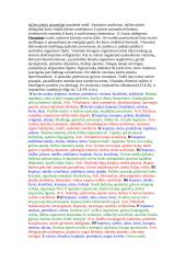 Virškinimas. Kvėpavimas. 2 puslapis