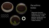 Braunio receptas ir patarimai 7 puslapis