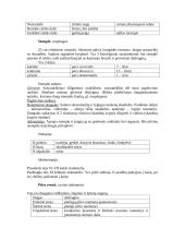 Virškinimo aparatas 5 puslapis