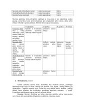 Virškinimo aparatas 10 puslapis