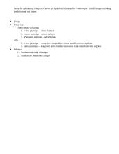 Asmens laisvės manifestavimo ir siekimo tema literatūroje 4 puslapis