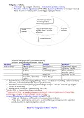 Visuomenės sveikatos samprata, koncepcijos ir jų raida 5 puslapis