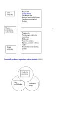 Visuomenės sveikatos samprata, koncepcijos ir jų raida 6 puslapis
