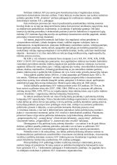 Visuomeninė nuomonė ir politinių institucijų kitimas Rusijoje ir Vakaruose 20 puslapis