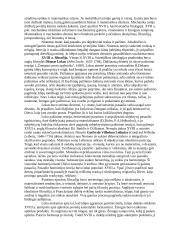 Visuotinės literatūros pasiruošimas egzaminui 2 puslapis