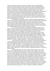 Visuotinės literatūros pasiruošimas egzaminui 13 puslapis