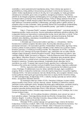 Visuotinės literatūros pasiruošimas egzaminui 15 puslapis