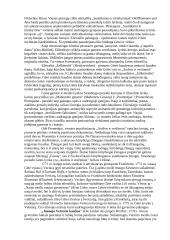 Visuotinės literatūros pasiruošimas egzaminui 19 puslapis
