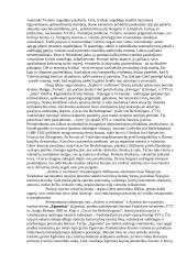 Visuotinės literatūros pasiruošimas egzaminui 20 puslapis