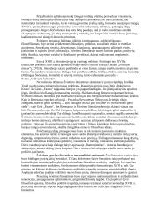 Visuotinės literatūros pasiruošimas egzaminui 4 puslapis