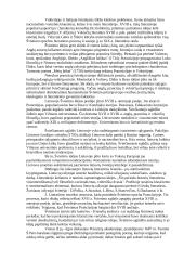 Visuotinės literatūros pasiruošimas egzaminui 5 puslapis