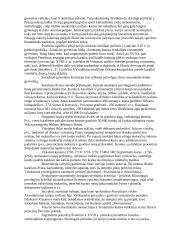 Visuotinės literatūros pasiruošimas egzaminui 6 puslapis