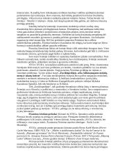 Visuotinės literatūros pasiruošimas egzaminui 7 puslapis