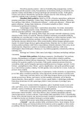 Visuotinės literatūros pasiruošimas egzaminui 9 puslapis